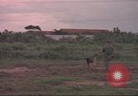 Image of 88th Military Police Corps Vietnam, 1965, second 13 stock footage video 65675061965