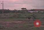 Image of 88th Military Police Corps Vietnam, 1965, second 16 stock footage video 65675061965