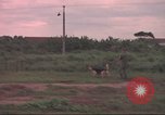 Image of 88th Military Police Corps Vietnam, 1965, second 21 stock footage video 65675061965