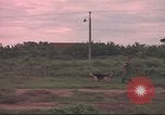 Image of 88th Military Police Corps Vietnam, 1965, second 22 stock footage video 65675061965