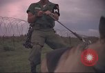 Image of 88th Military Police Corps Vietnam, 1965, second 48 stock footage video 65675061965