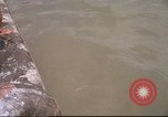 Immagine di La polizia militare Saigon Vietnam, 1965, secondo 20 filmato di repertorio 65675061972