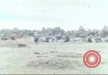 Image of 1st Infantry Division Vietnam, 1965, second 1 stock footage video 65675061976