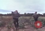Image of 1st Infantry Division Vietnam, 1965, second 12 stock footage video 65675061976