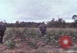Image of 1st Infantry Division Vietnam, 1965, second 13 stock footage video 65675061976