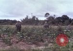 Image of 1st Infantry Division Vietnam, 1965, second 14 stock footage video 65675061976