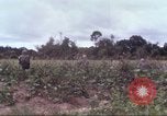 Image of 1st Infantry Division Vietnam, 1965, second 15 stock footage video 65675061976