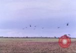 Image of 1st Infantry Division Vietnam, 1965, second 60 stock footage video 65675061977