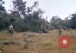 Image of 1st Infantry Division Vietnam, 1965, second 29 stock footage video 65675061978