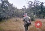 Image of 1st Infantry Division Vietnam, 1965, second 31 stock footage video 65675061978