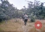 Image of 1st Infantry Division Vietnam, 1965, second 37 stock footage video 65675061978