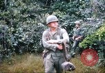 Image of 1st Infantry Division Vietnam, 1965, second 48 stock footage video 65675061978