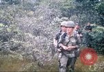Image of 1st Infantry Division Vietnam, 1965, second 62 stock footage video 65675061978
