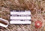 Image of 1st Infantry Division Vietnam, 1965, second 1 stock footage video 65675061979