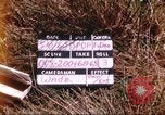 Image of 1st Infantry Division Vietnam, 1965, second 3 stock footage video 65675061979