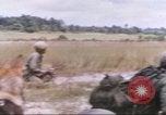 Image of 1st Infantry Division Vietnam, 1965, second 9 stock footage video 65675061979