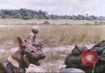 Image of 1st Infantry Division Vietnam, 1965, second 11 stock footage video 65675061979