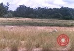 Image of 1st Infantry Division Vietnam, 1965, second 20 stock footage video 65675061979