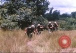 Image of 1st Infantry Division Vietnam, 1965, second 23 stock footage video 65675061979