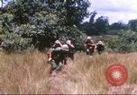 Image of 1st Infantry Division Vietnam, 1965, second 24 stock footage video 65675061979