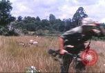 Image of 1st Infantry Division Vietnam, 1965, second 39 stock footage video 65675061979