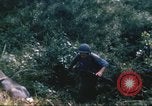 Image of 1st Infantry Division Vietnam, 1965, second 39 stock footage video 65675061980