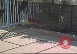 Image of morning view Vietnam, 1965, second 3 stock footage video 65675061981