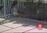 Image of morning view Vietnam, 1965, second 4 stock footage video 65675061981