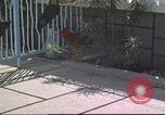 Image of morning view Vietnam, 1965, second 5 stock footage video 65675061981