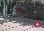 Image of morning view Vietnam, 1965, second 6 stock footage video 65675061981
