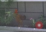 Image of morning view Vietnam, 1965, second 11 stock footage video 65675061981