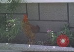 Image of morning view Vietnam, 1965, second 14 stock footage video 65675061981
