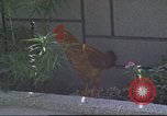 Image of morning view Vietnam, 1965, second 22 stock footage video 65675061981