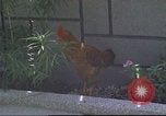 Image of morning view Vietnam, 1965, second 23 stock footage video 65675061981