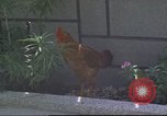 Image of morning view Vietnam, 1965, second 24 stock footage video 65675061981