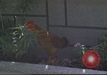 Image of morning view Vietnam, 1965, second 28 stock footage video 65675061981