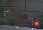 Image of morning view Vietnam, 1965, second 31 stock footage video 65675061981