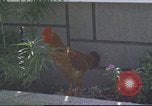 Image of morning view Vietnam, 1965, second 36 stock footage video 65675061981