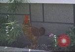 Image of morning view Vietnam, 1965, second 40 stock footage video 65675061981