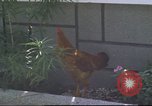Image of morning view Vietnam, 1965, second 44 stock footage video 65675061981