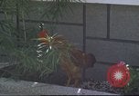 Image of morning view Vietnam, 1965, second 53 stock footage video 65675061981