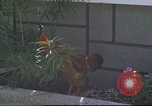 Image of morning view Vietnam, 1965, second 55 stock footage video 65675061981