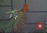Image of morning view Vietnam, 1965, second 57 stock footage video 65675061981
