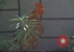 Image of morning view Vietnam, 1965, second 58 stock footage video 65675061981