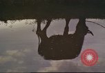 Image vietnamiens Tan fils Nhut Vietnam, 1965, de la seconde 29 séquences d'archives historiques vidéo 65675061994