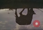 Image vietnamiens Tan fils Nhut Vietnam, 1965, de la seconde 31 séquences d'archives historiques vidéo 65675061994