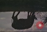 Image vietnamiens Tan fils Nhut Vietnam, 1965, de la seconde 43 séquences d'archives historiques vidéo 65675061994