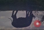 Image vietnamiens Tan fils Nhut Vietnam, 1965, de la seconde 44 séquences d'archives historiques vidéo 65675061994