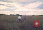 Image of HH-43B Huskie Vietnam, 1965, second 31 stock footage video 65675061995