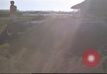 Image of water buffaloes Vietnam, 1966, second 45 stock footage video 65675062003